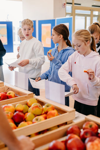 © LK Steiermark-Daniel Winter © LK Steiermark-Daniel Winter