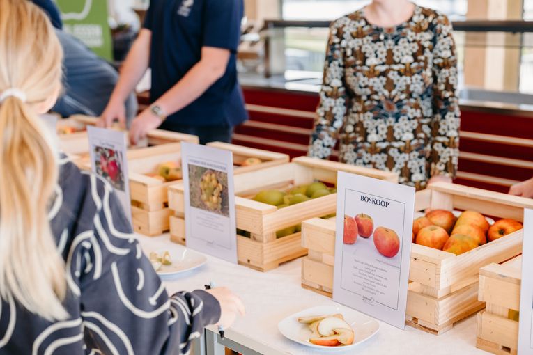 © LK Steiermark-Daniel Winter