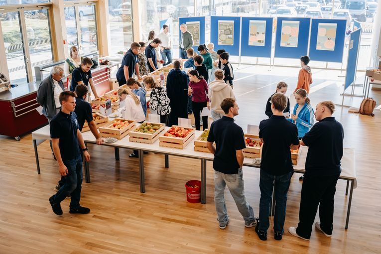 © LK Steiermark-Daniel Winter