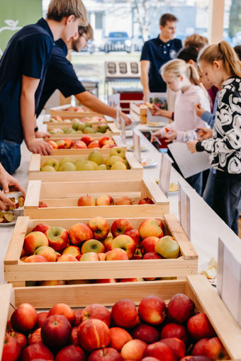 © LK Steiermark-Daniel Winter