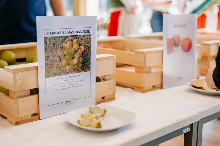 © LK Steiermark-Daniel Winter