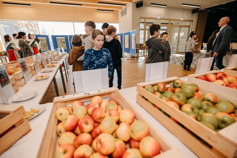 © LK Steiermark-Daniel Winter