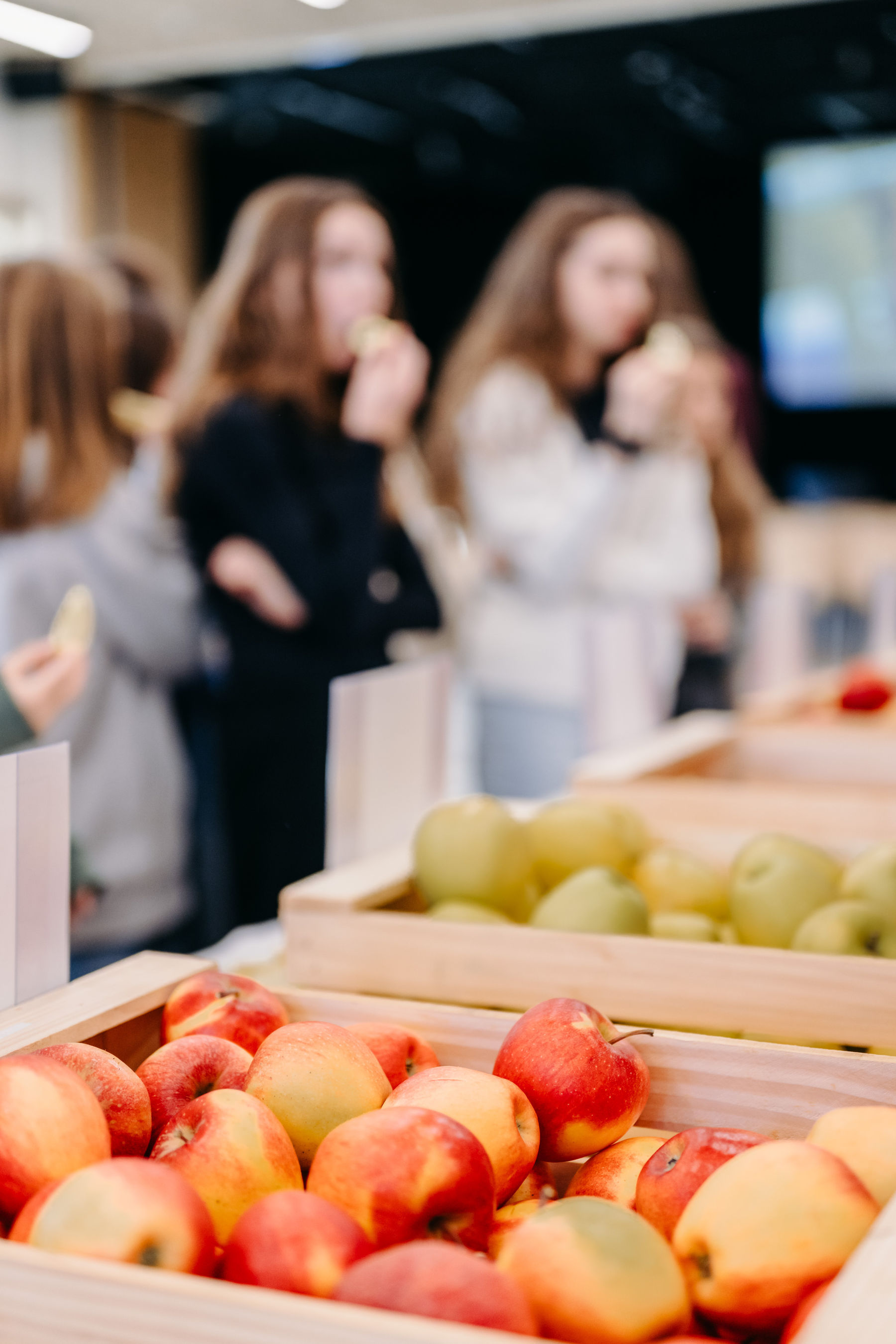 © LK Steiermark-Daniel Winter