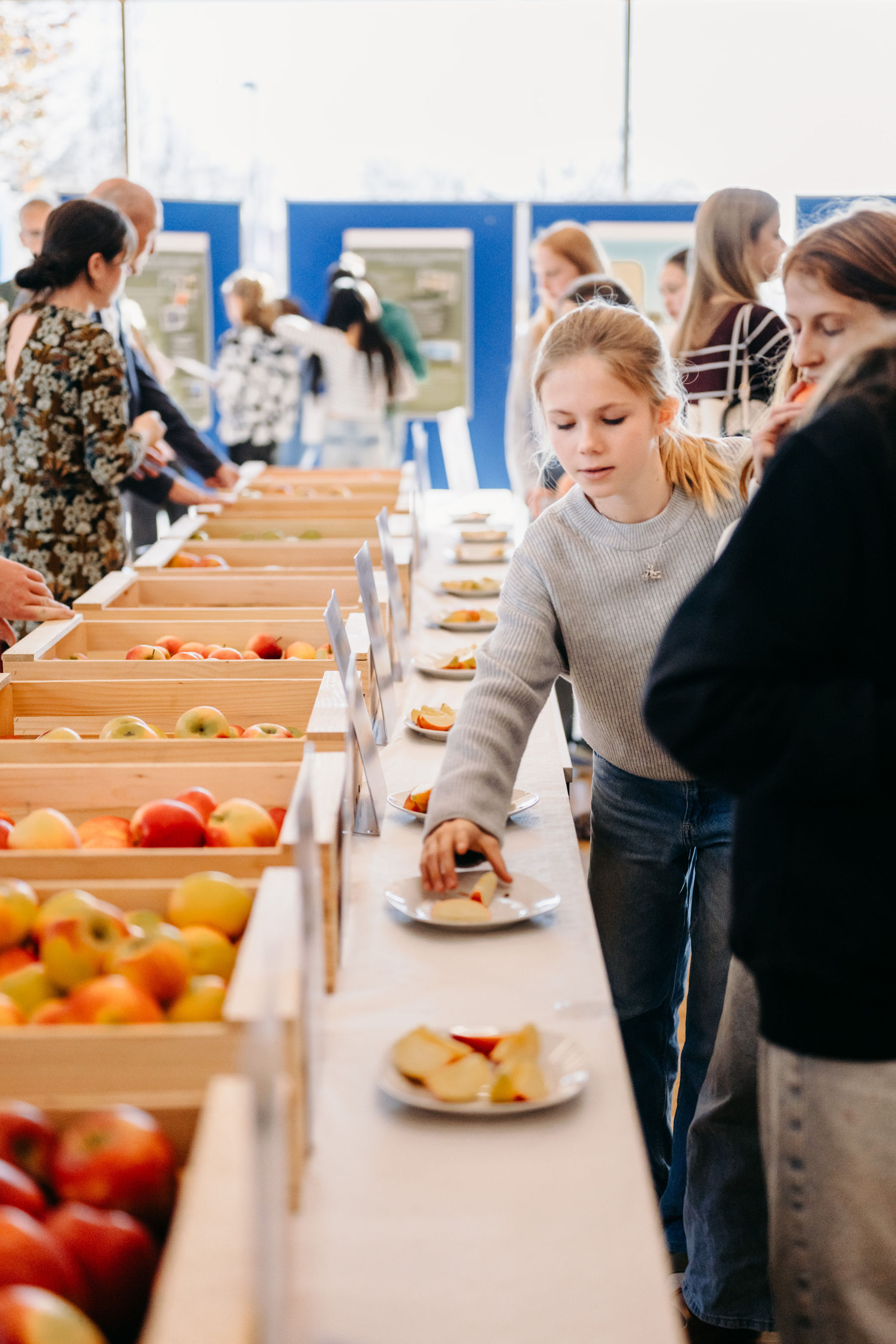 © LK Steiermark-Daniel Winter