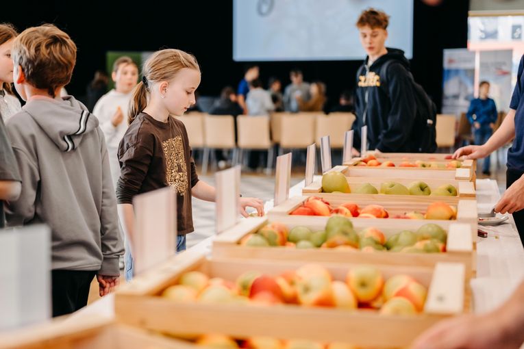 © LK Steiermark-Daniel Winter