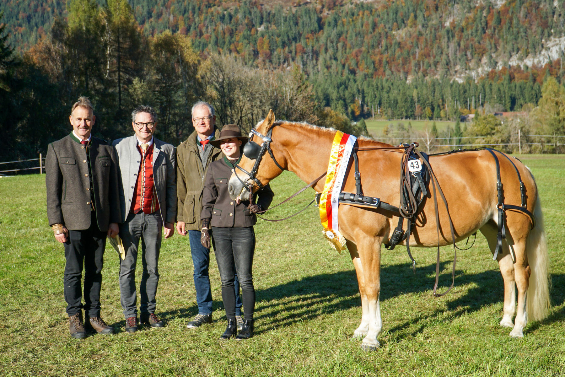Leistungsprüfung_print-1_Elaria.jpg © Stefanie Wuzella/Landes-Pferdezuchtverband