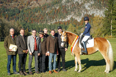 Leistungsprüfung_print-2_Lamina.jpg © Elaria – Reservesiegerin Haflinger – B.: Lara Moser, Egg.