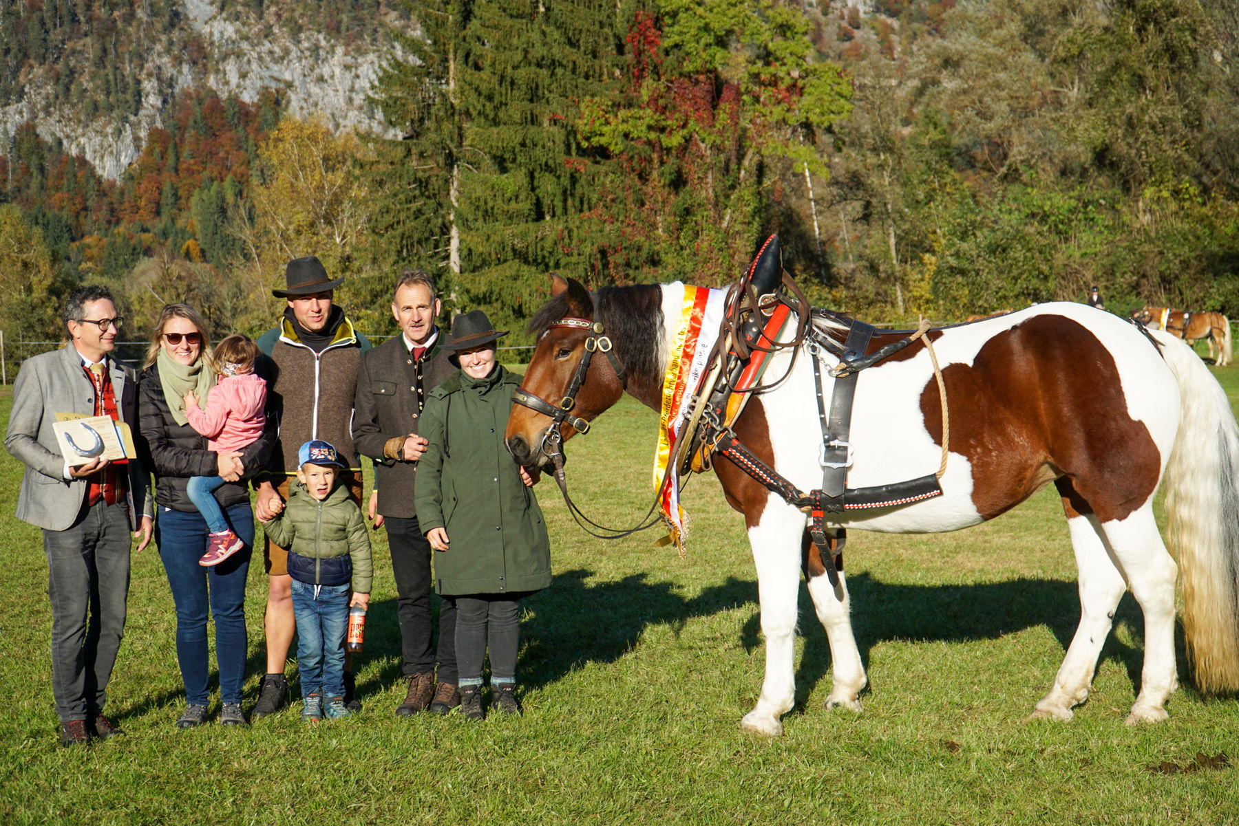 Leistungsprüfung_print-3_Malou.jpg © Stefanie Wuzella/Landes-Pferdezuchtverband