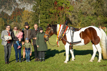 Leistungsprüfung_print-3_Malou.jpg © Stefanie Wuzella/Landes-Pferdezuchtverband