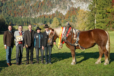 Leistungsprüfung_print-4_Lanz-Svenja.jpg © Stefanie Wuzella/Landes-Pferdezuchtverband