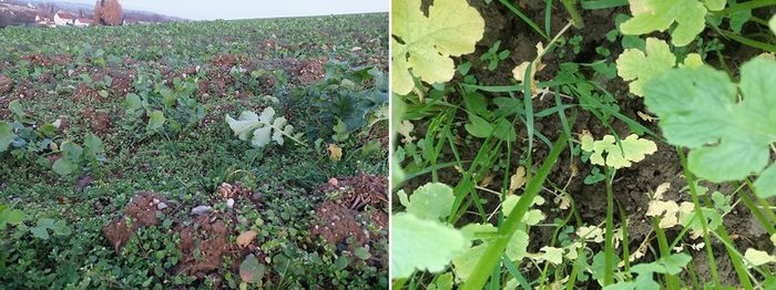 [1762950658979795_1.jpg]