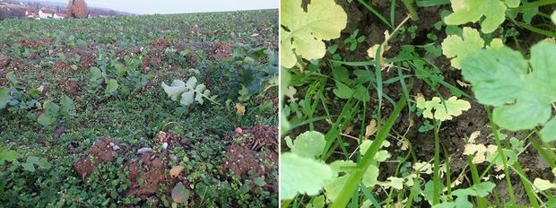 [1762950658979795_7.jpg]