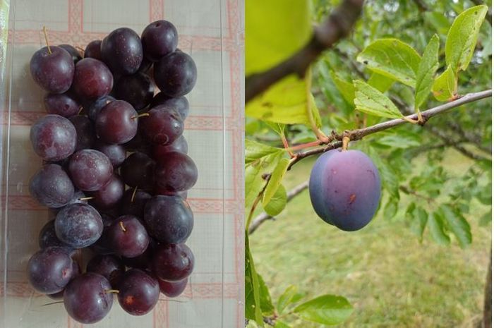 [1763018601997510_1.jpg]