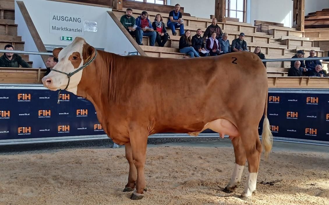 Vresteigeurng Ried - 21.10. - 3.jpg © FIH