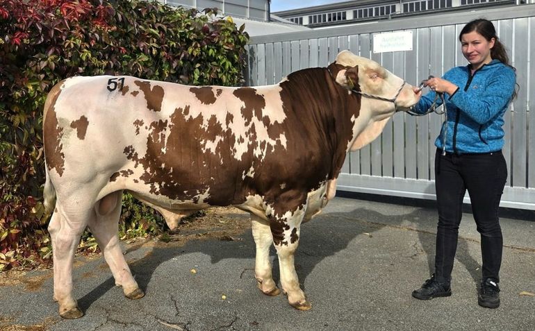 Versteigerung Ried 21.10. - 1.jpg © FIH