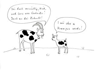 BIM © Mitterwallner