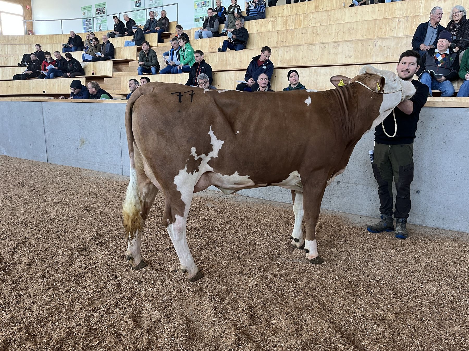 Versteigerung Freistadt - 05.11.2025 - 2.jpg © RZO/Kitzberger