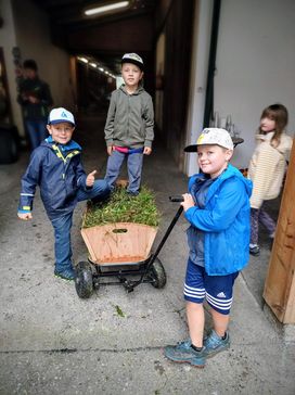 [176304461204395.jpg]