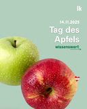 2025 11 - 1 - Tag des Apfels.png © LK Österreich