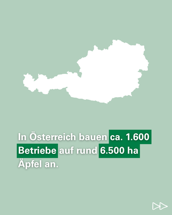 2025 11 - 2 - Tag des Apfels.png © LK Österreich 2025 11 - 2 - Tag des Apfels.png © LK Österreich