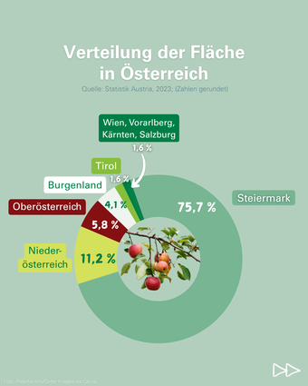 2025 11 - 3 - Tag des Apfels.png © LK Österreich
