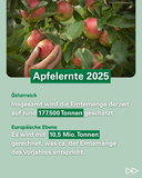 2025 11 - 4 - Tag des Apfels korr.png © LK Österreich