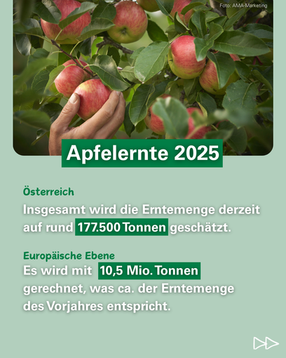 2025 11 - 4 - Tag des Apfels korr.png © LK Österreich