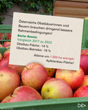 2025 11 - 5 - Tag des Apfels korr2.png © LK Österreich