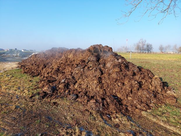 [1763370765535685_7.jpg]