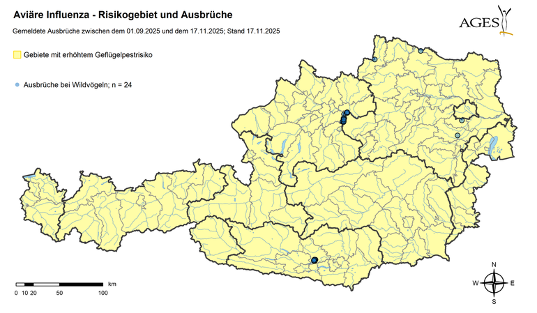 Geflügelpest-Ausbrüche (Stand: 17.11.2025) © AGES