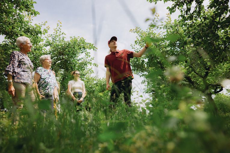 GC 7 (c) Ulrich Zinell.jpg © Ulla Sladek