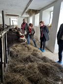 © Martin Rinner / Landwirtschaftskammer Steiermark