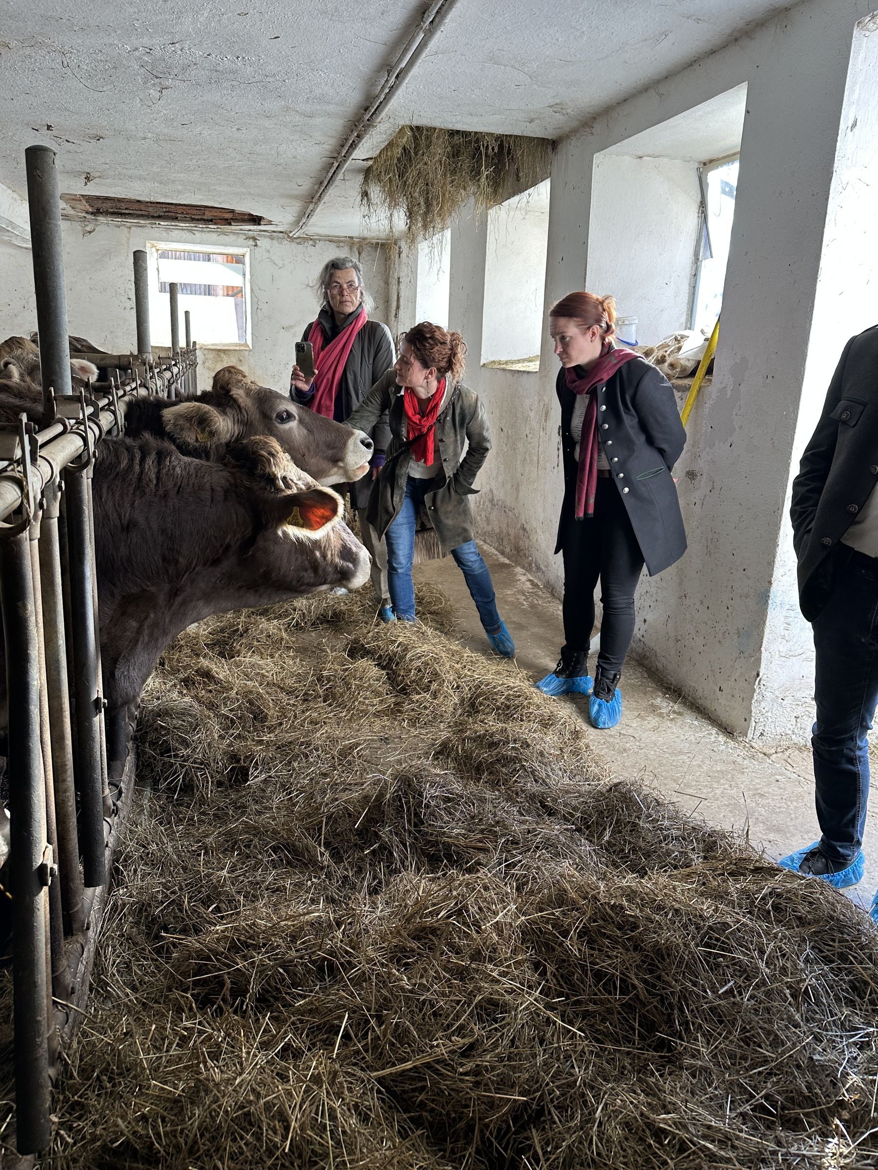 © Martin Rinner / Landwirtschaftskammer Steiermark