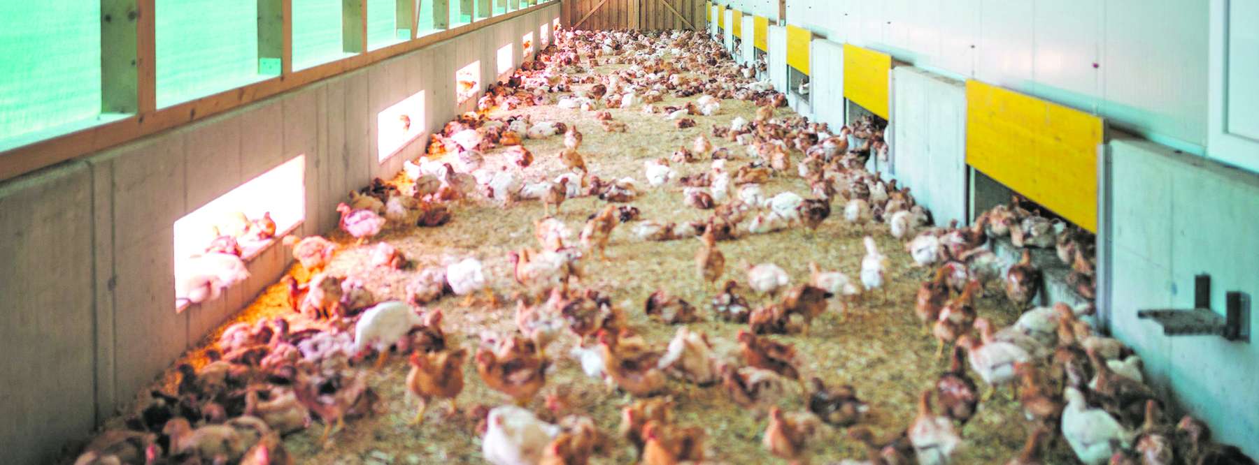 Bio-Mast-Wintergarten .jpg © AMA-Marketing