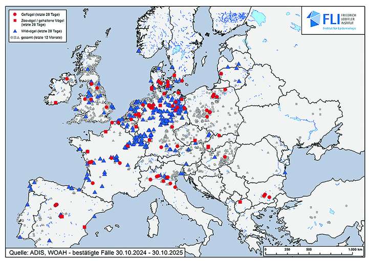 HPAI-Verbeitung Stand 30.10.2025.jpg © Friedrich Löffler-Institut