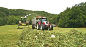 Silage.jpg © BauernJournal