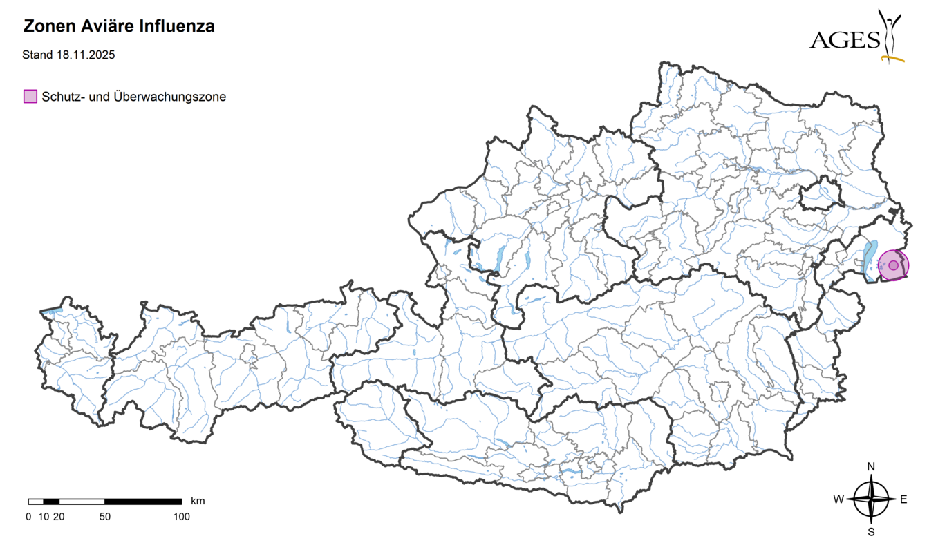 Geflügelpest-Ausbruch im Burgenland (Stand 18.11.2025) © AGES