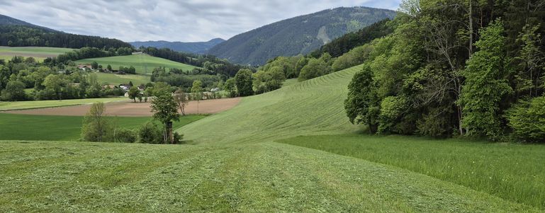 Direktzahlungen und Zahlung für Junglandwirtinnen und Junglandwirte © Nothnagel/LKÖ
