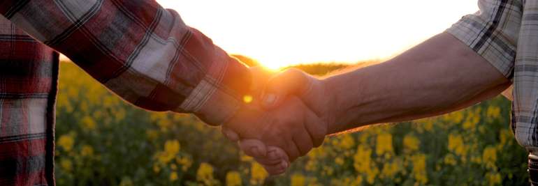 Farmers Shake Hands on Rural Farm in Field of Flowering Rapeseed. Handshake for Conclusion Successful of Contract for Supply of Food and Products. Farmers on Plantation against Sunset. Hands Close up.jpg © stock.adobe.com