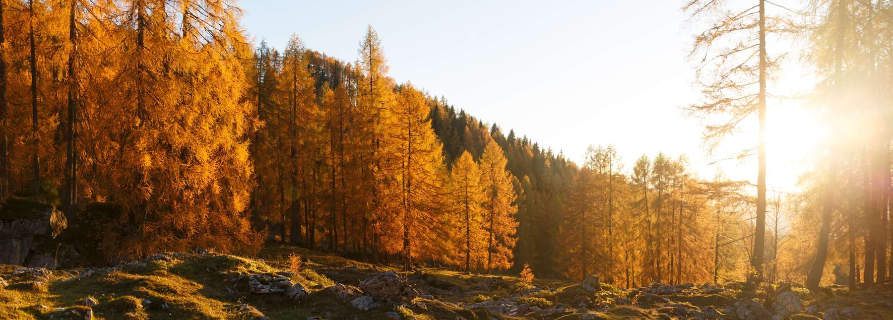 Agrargemeinschaften-AdobeStock_178475847.jpg © stock.adobe.com