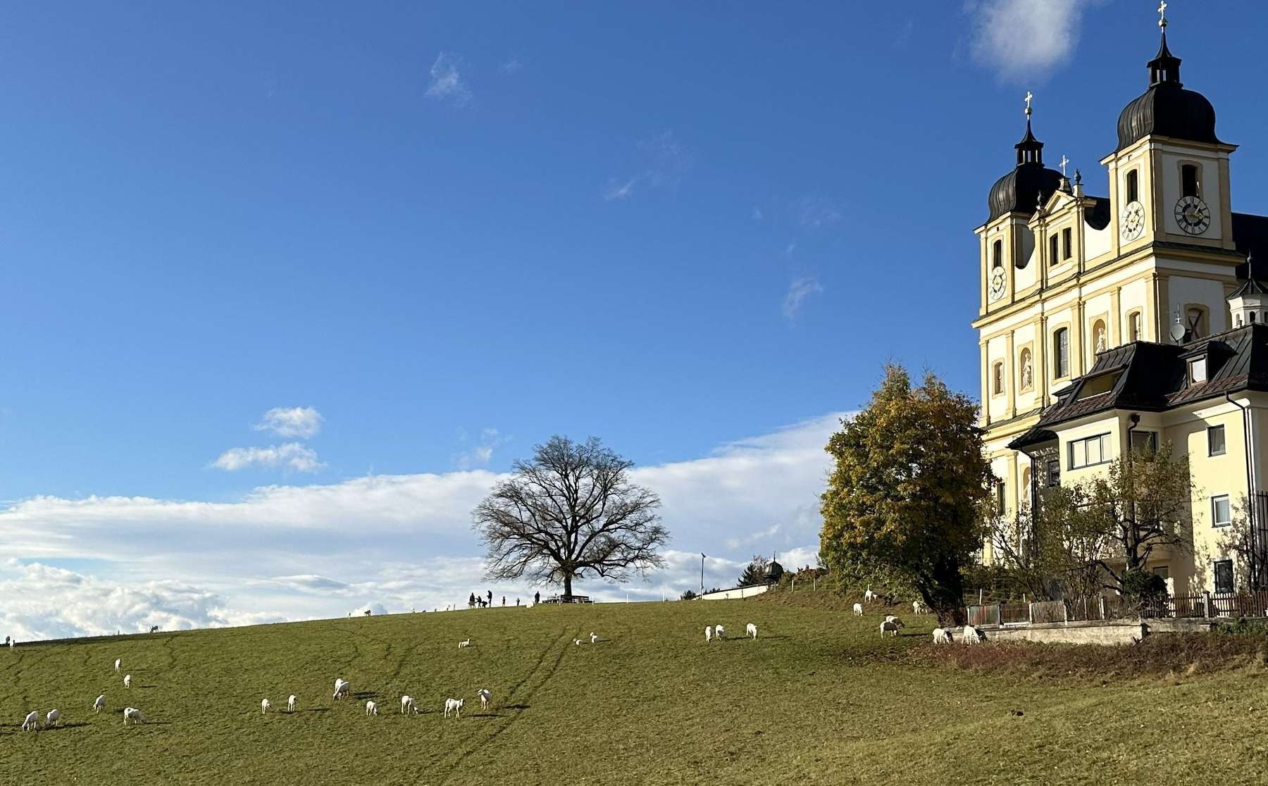 Maria Plain.jpg © SZZV Kärnten