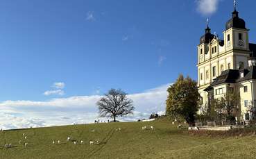 Maria Plain.jpg © SZZV Kärnten