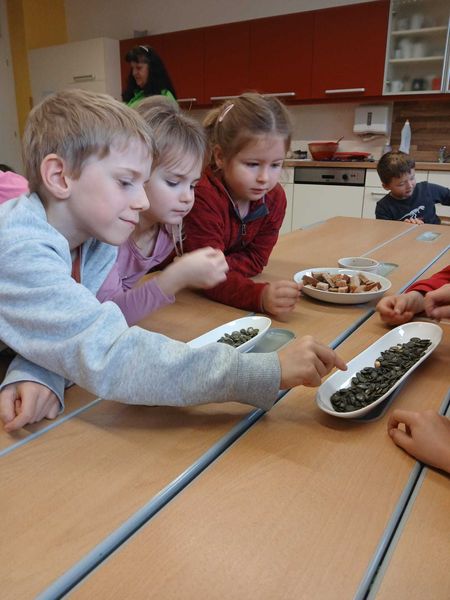 VS Groß Gerungs6.jpg VS Groß Gerungs6.jpg