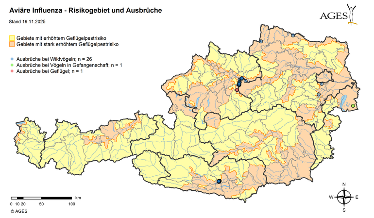 Geflügelpest Ausbrüche und Risikogebiete (Stand: 19.11.2025) © AGES