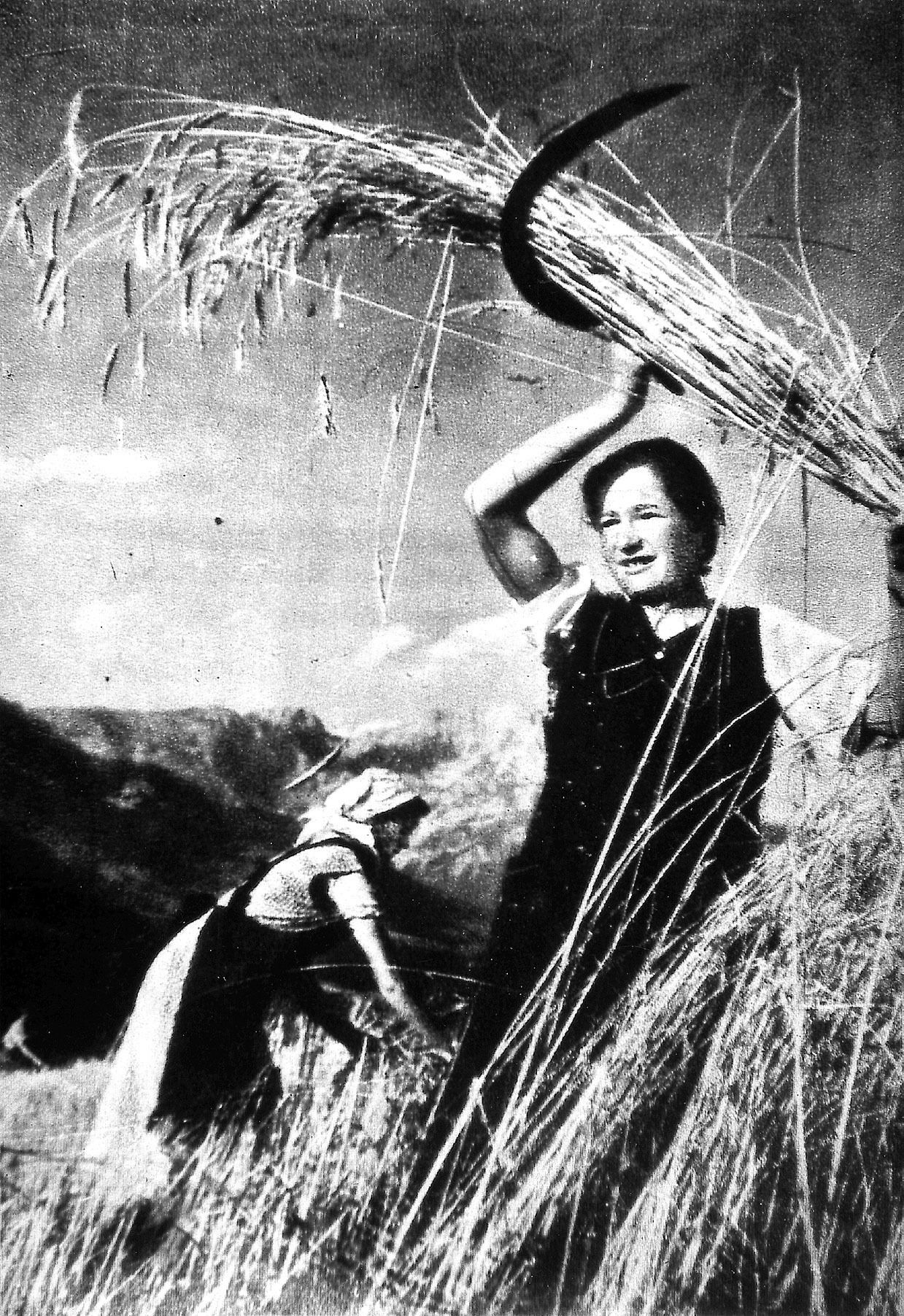 Feldarbeit.jpg © Archiv