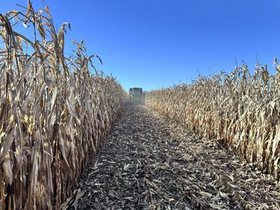  © LK OÖ/Kastenhuber