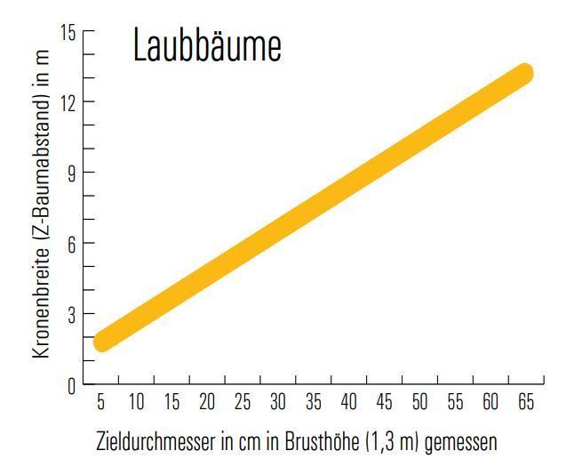 Zusammenhang Zieldurchmesser mit der Kronenbreite.jpg © LK OÖ nach Hochbichler et al.