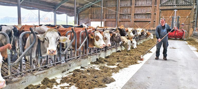 Die Wirtschaftsbasis breit aufgestellt.jpg © Standl