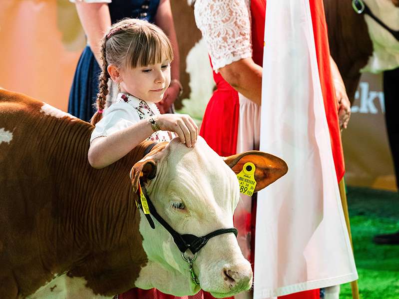 Bundesfleckviehschau.jpg © Fritz Baumann