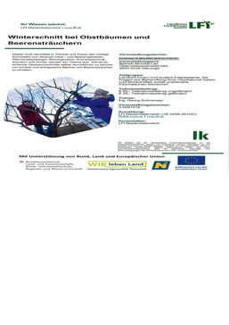 [1763629754213599.jpg]